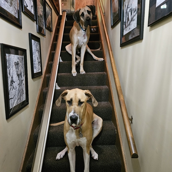 Lots of clothes - Picture 2 of 2